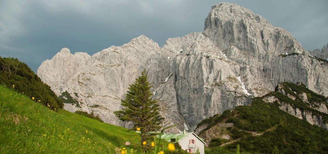 Hotel Sonne Sankt Johann in Tirol Exterior foto